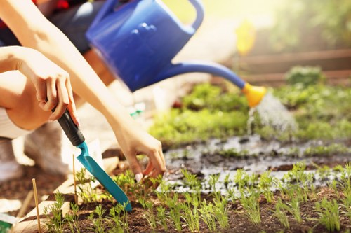 Garden landscaping project planning for a Sanderstead home