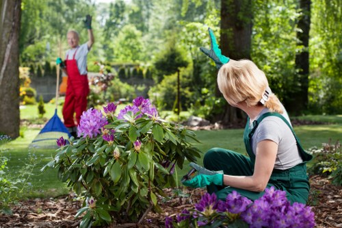 Complaint procedure overview for a landscaping service