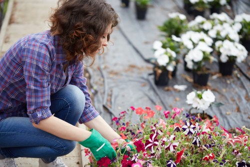 Landscaping team preparing a garden project