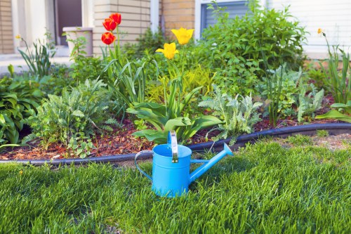 Garden makeover planning for a Sanderstead home