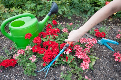 Local hard landscaping team planning outdoor works in Sanderstead