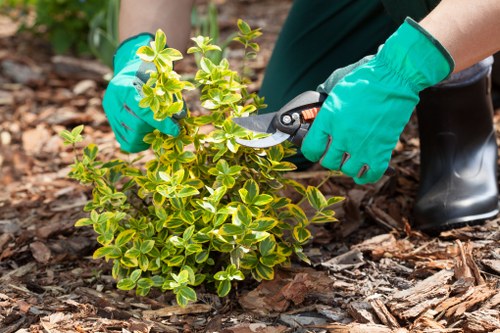 Garden drainage assessment in a Sanderstead residential garden