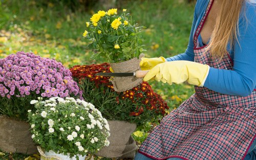 Final legal terms for landscaping services