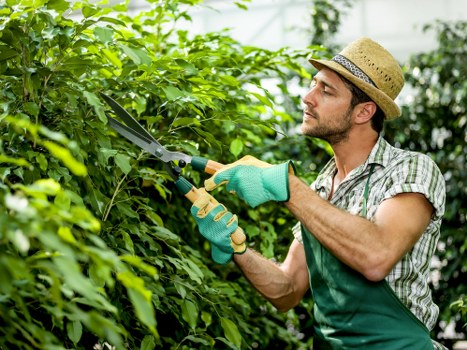 Modern LED garden lighting design for a Sanderstead garden