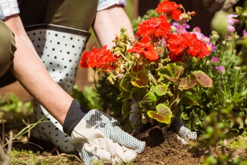 Turfing and border improvements in a Sanderstead property