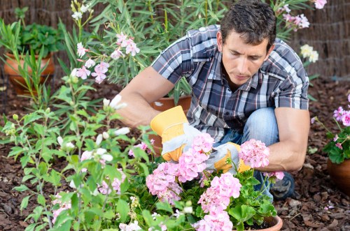 User reviewing cookie settings for Landscaping Sanderstead website